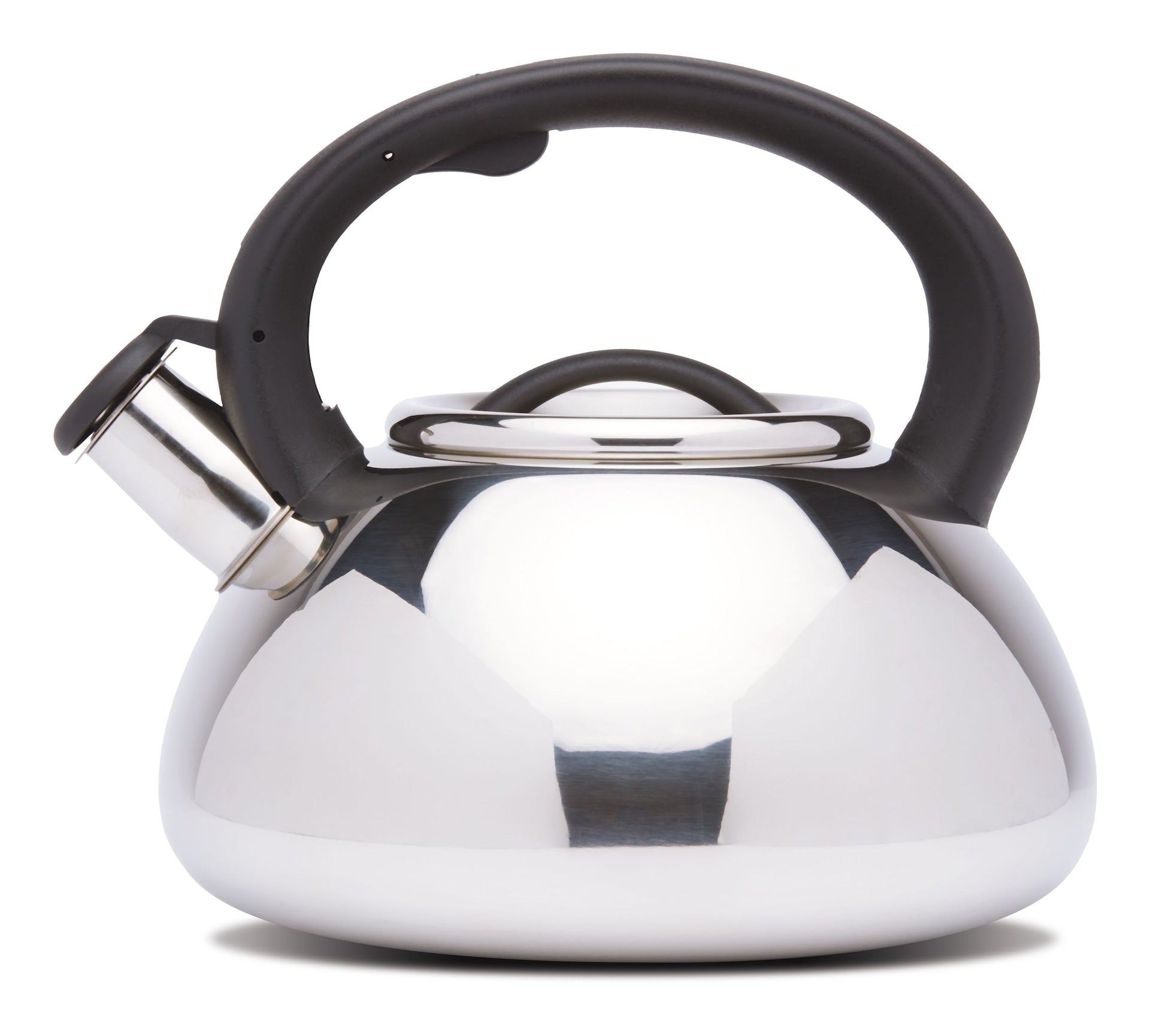 MASTER Chef Stainless Steel Stovetop Kettle, 2.5-L
